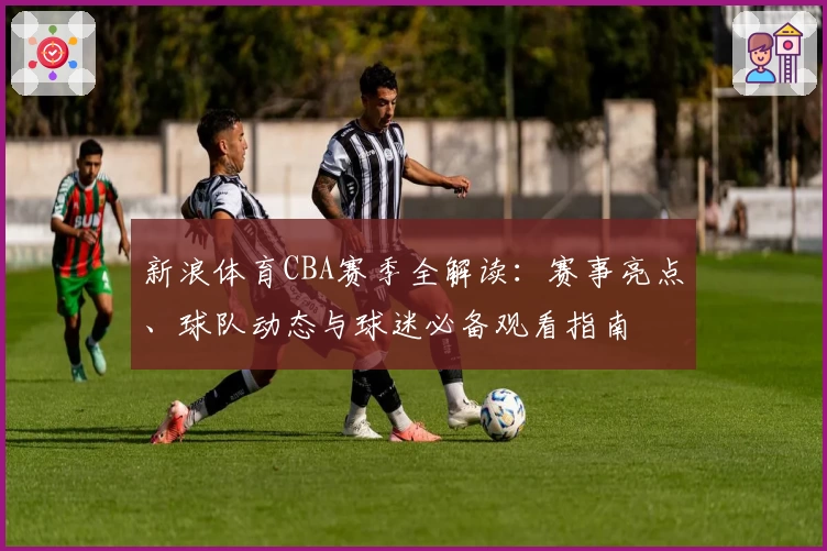 新浪体育CBA赛季全解读：赛事亮点、球队动态与球迷必备观看指南