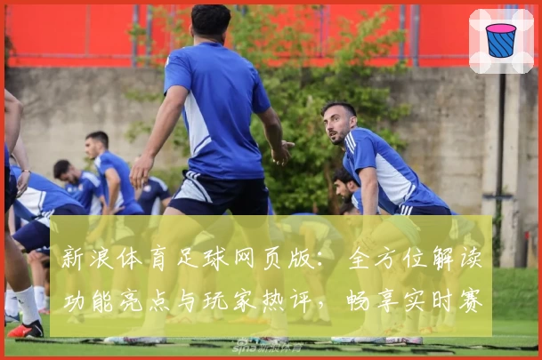 新浪体育足球网页版：全方位解读功能亮点与玩家热评，畅享实时赛事资讯
