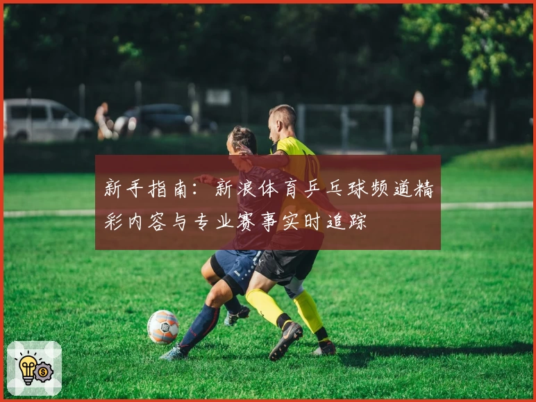 新手指南：新浪体育乒乓球频道精彩内容与专业赛事实时追踪