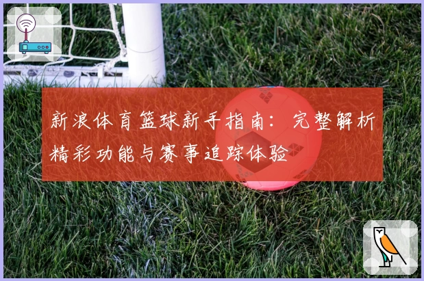 新浪体育篮球新手指南：完整解析精彩功能与赛事追踪体验