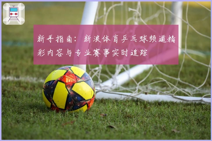 新手指南：新浪体育乒乓球频道精彩内容与专业赛事实时追踪