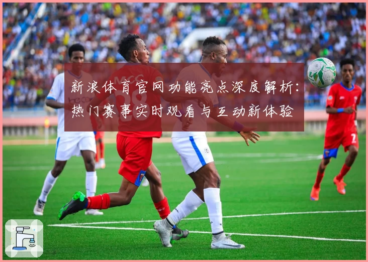 新浪体育官网功能亮点深度解析：热门赛事实时观看与互动新体验