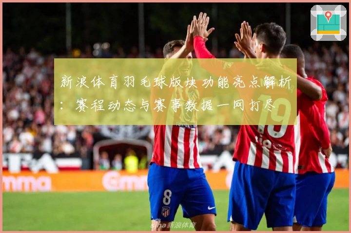 新浪体育羽毛球版块功能亮点解析：赛程动态与赛事数据一网打尽