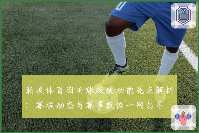 新浪体育羽毛球版块功能亮点解析：赛程动态与赛事数据一网打尽