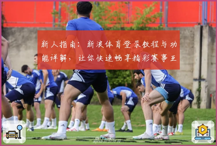 新人指南：新浪体育登录教程与功能详解，让你快速畅享精彩赛事互动