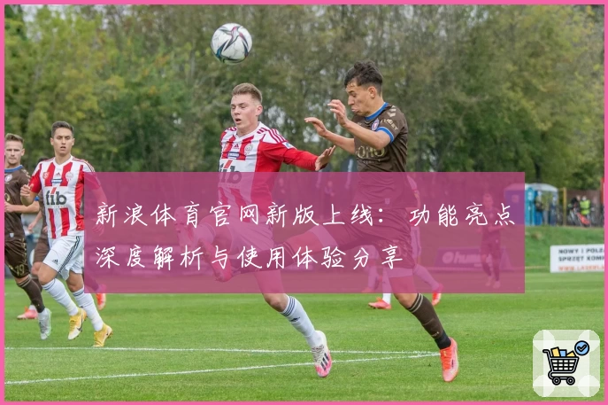 新浪体育官网新版上线：功能亮点深度解析与使用体验分享