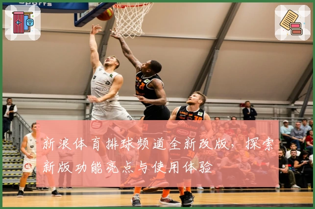 新浪体育排球频道全新改版，探索新版功能亮点与使用体验